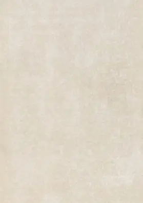 Carreau CAMPASPERO SAND Rectifié Beige Mat 59,5×119,2cm 9mm(1,42m2/C)