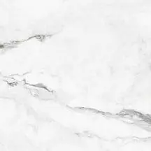 Carreau INSIGNIA Rectifié Blanc Marbré Mat 59,5×59,5cm 8,8mm(1,06m2/C)