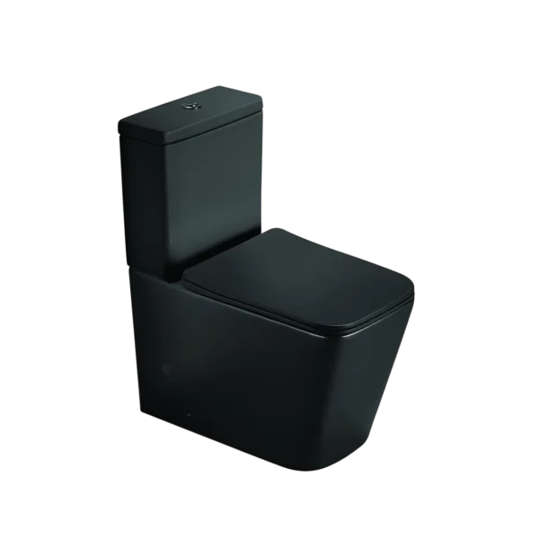 WC sur Pied Compact BLU Noir Mat 2920AMB